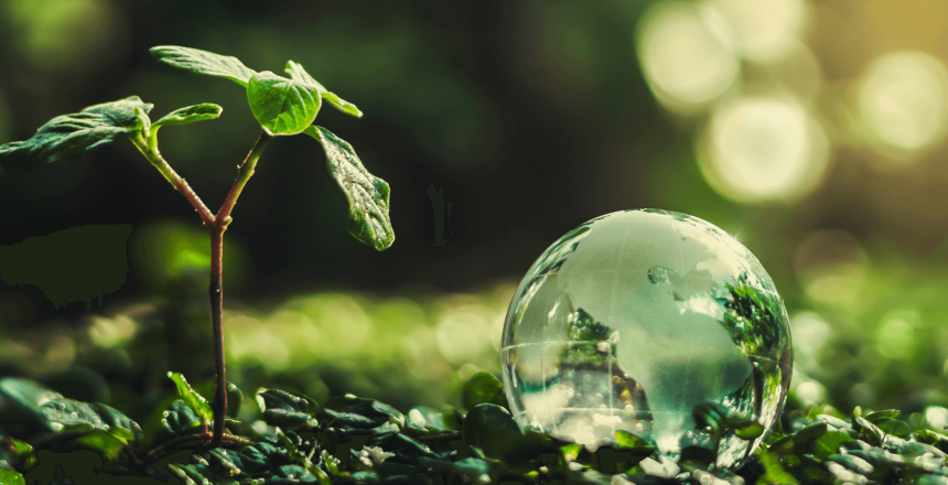Ein kleines Pflänzchen und ein Wassertropfen